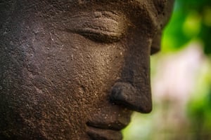 Massage Corbières Lézignan Résonance Reconnexion